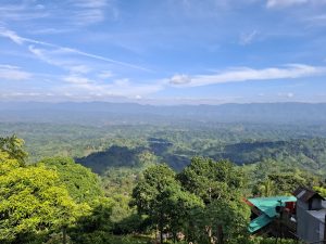 Expansive green hills under a vibrant blue sky with scattered clouds. Trees in the foreground add depth
