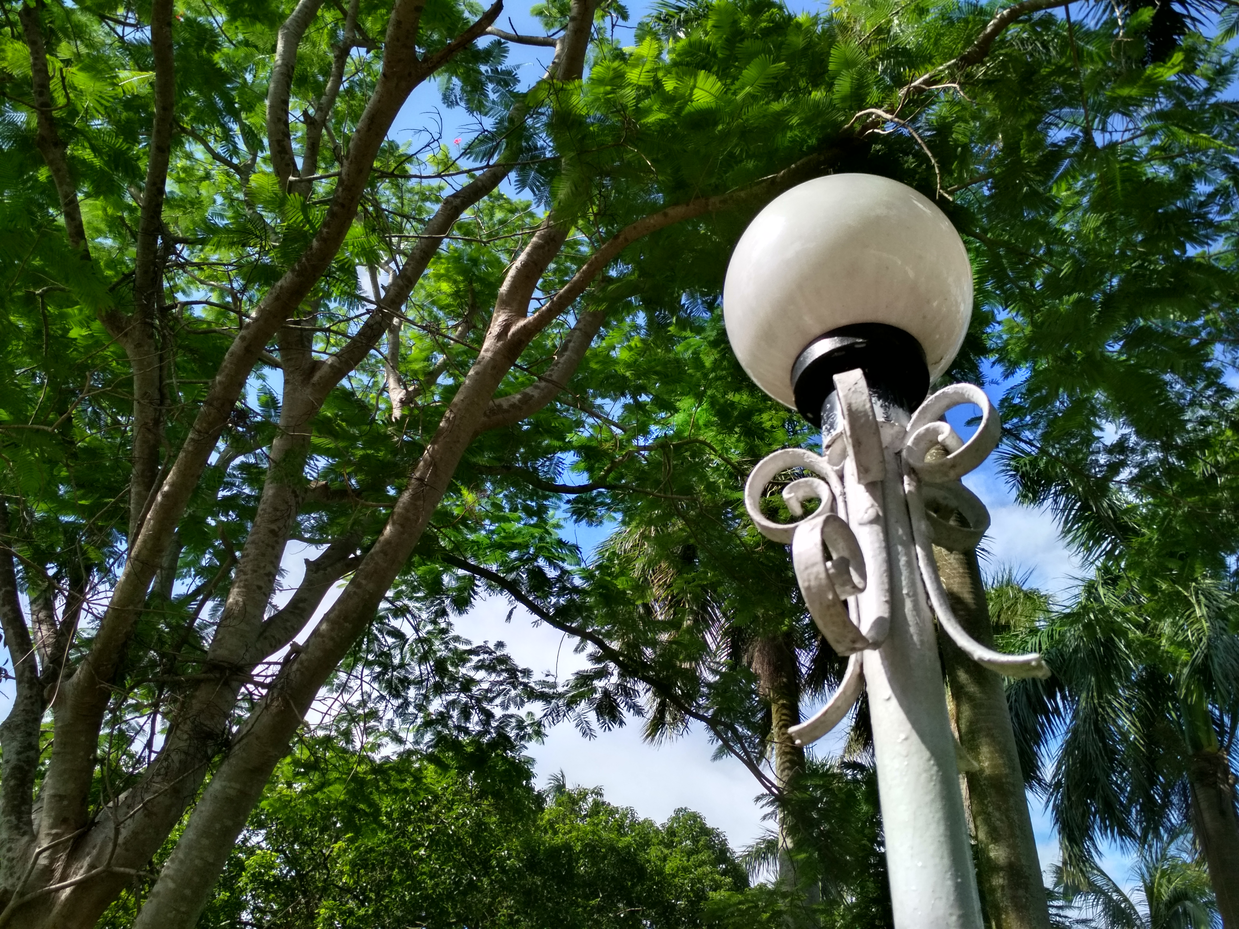 Decorative white garden lamp post surrounded by lush green trees under a clear blue sky