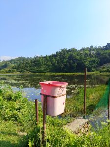 A faded pink plastic waste bin mounted on rusty poles beside a lily-covered lake, with forested hills and a snow-capped Himalayan peak in the distance — a quiet commentary on conservation. 