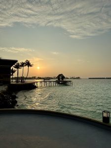 Sunset view over an island with a boat dock and palm trees.