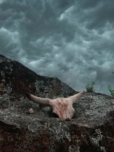 A yak skull on weathered rocks under a dark, cloudy sky, creating a moody and ominous atmosphere.