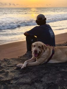 As the sun dips low, painting the sea in honeyed light, a quiet moment of companionship unfolds. A man sits watching the rhythmic roll of the waves, while his golden Labrador rests faithfully by his side. It’s a peaceful snapshot of a perfect evening spent together in the warm ocean breeze. 