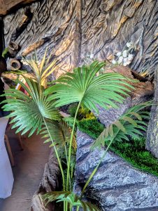 Large green palm leaves with small white flowers against a textured rock background, creating a tropical indoor setting with artificial grass and a table covered with a white cloth in the foreground.
