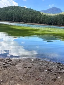 Reflections of clouds and a forested hillside on a calm mountain lake. 