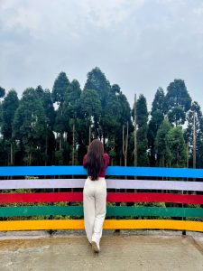 A full-length shot from behind of a person with long brown hair leaning on a brightly painted, multi-colored wooden fence, looking out at a dense forest of tall evergreen trees under an overcast sky. 
