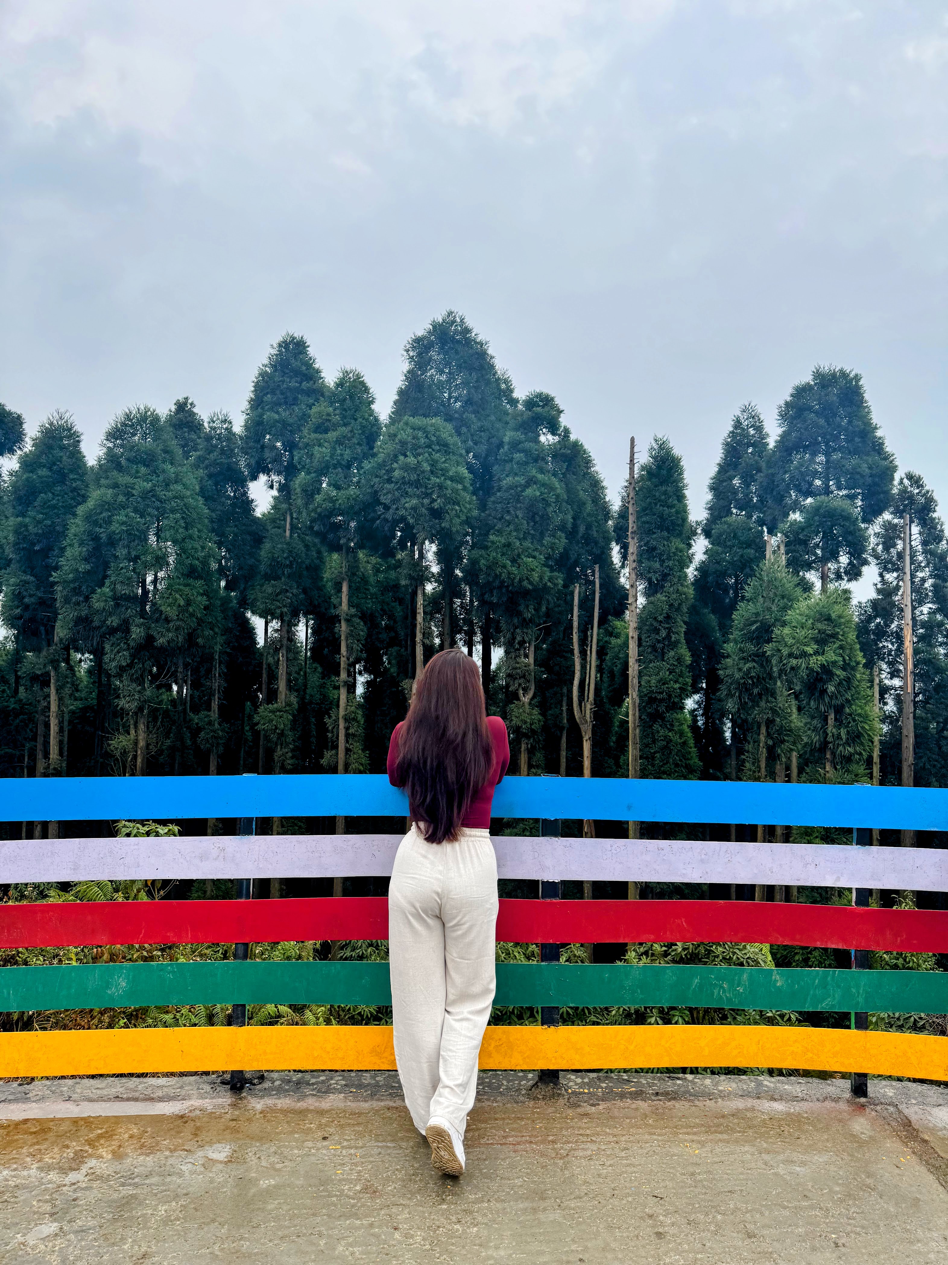 A full-length shot from behind of a person with long brown hair leaning on a brightly painted, multi-colored wooden fence, looking out at a dense forest of tall evergreen trees under an overcast sky.