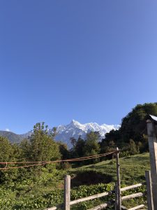 A snow capped Himalayan peak rising above green terraced fields and a rustic wooden fence under a clear deep blue sky. 