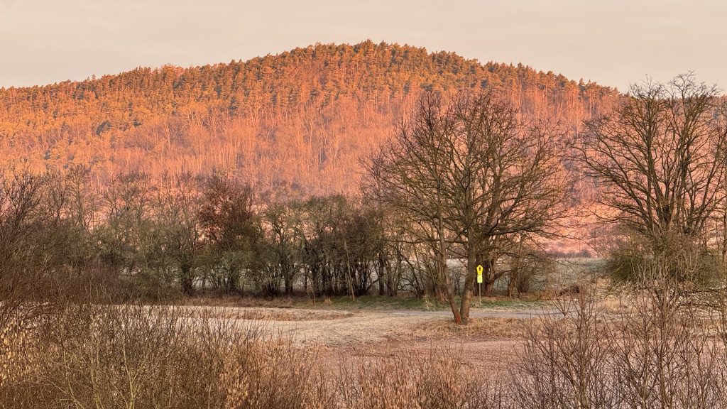 Frost-covered grass and bare bushes frame a winding path in the cool foreground, while a tree-covered hill glows in warm orange sunrise light. A yellow sign beside a tree marks the trail in this still, early morning scene.