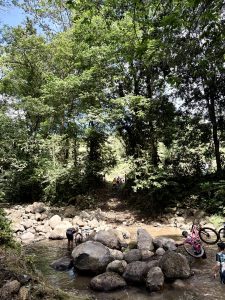 Adventure cycling through a tropical river.