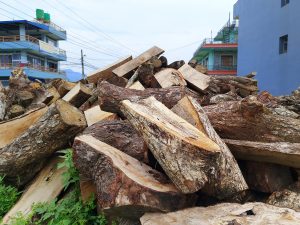 A large pile of roughly cut and split timber logs with exposed pale wood grain and dark bark, stacked in an open area between colourful multi-storey residential buildings under an overcast sky, Nepal. 