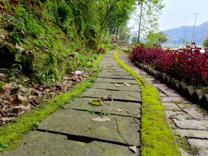 A moss-covered stone-paved walking path lined with bright red ornamental foliage plants on the right and a rocky, fern-draped hillside wall on the left, leading toward stone steps and a lake view with hills beyond, Begnas Lake, Nepal. 