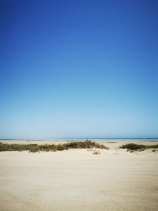 Wide sandy beach with a clear blue sky, light vegetation along the shore, and a calm sea creating a peaceful view.