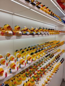 Rows of colorful rubber ducks in different costumes are displayed on bright shelves, from doctors and sailors to musicians and animals, creating a playful shop scene.