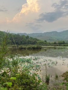 A serene lake with lily pads is surrounded by lush, green hills under a sky with dramatic, glowing clouds, conveying a peaceful, natural scene.