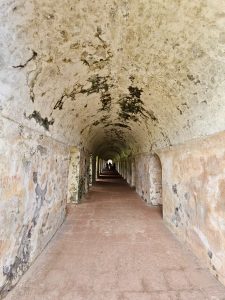 A long vaulted corridor stretches through the fort, with repeating arches creating a striking sense of depth and symmetry. The aged walls and natural light add character to this historic structure. Captured at St. Angelo Fort, Kannur, Kerala.
