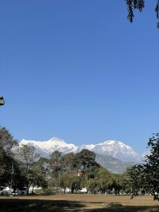 A vibrant landscape view under a clear, bright blue sky looking out over a wide grassy park field lined with green trees. In the background, a massive, snow-capped mountain range rises majestically over the horizon. 