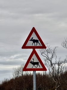 road signs warning of reindeer
