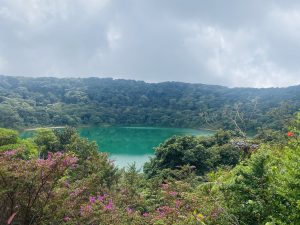 View of Laguna Botos, an ancient volcanic crater lake located in Poás Volcano National Park, Costa Rica. The emerald-green water is surrounded by lush cloud forest vegetation and native flowering plants.