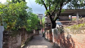 A narrow alleyway flanked by weathered brick walls, lush green trees, and traditional buildings under a bright sky.