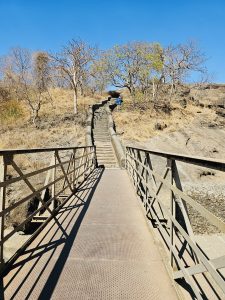 A metal bridge leads to a long stone staircase surrounded by dry forest, inviting visitors to explore the higher caves. The clear blue sky adds depth to the peaceful landscape. Captured at Kanheri Caves, Borivali East, Mumbai.