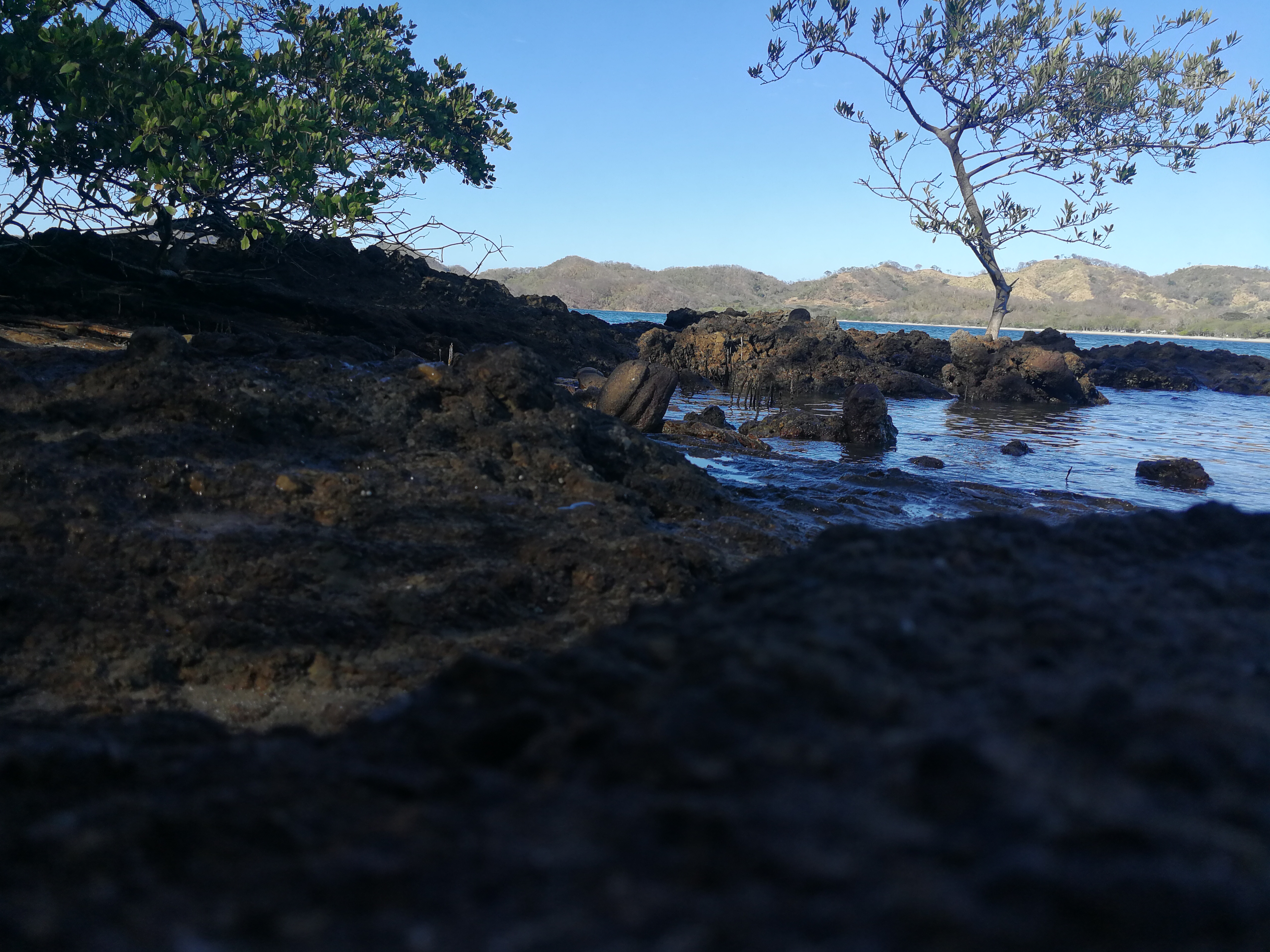 Dark volcanic rocks surround shallow coastal tide pools near the sea. A small tree grows from the rocky shoreline, with dry hills visible across the water. The low-angle view emphasizes the rocks' rough textures and the calm blue water.