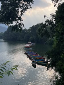 ​A row of colorful wooden boats moored along the lush, tree-lined shore of Fewa Lake in Pokhara under overcast skies.