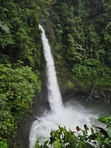 A stunning waterfall cascades down a rocky cliff, surrounded by dense, lush green foliage. 