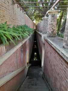 A narrow brick staircase for Garden of Dreams of Nepal, descends between rustic walls, with green plants along one side and stone columns on the other, leading to a softly lit corridor below.