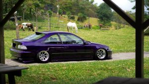Deep purple modified Honda Civic coupe with silver deep-dish wheels and extreme camber, parked on grass near a gravel path, with grazing cows and a white horse on green hills under a cloudy sky.