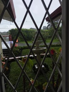 A view from a window with a white security grill showing a tiered fountain in a wet, green garden under a grey sky.