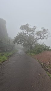 A winding, dark asphalt road leads into a scene filled with thick fog, creating a mystical atmosphere

