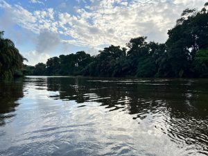 Calm river reflecting a tropical rainforest under a partly cloudy sky.