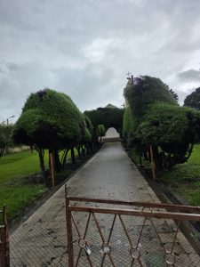A paved pathway lined with sculpted cypress trees leads through a hedge archway toward a church under overcast skies.