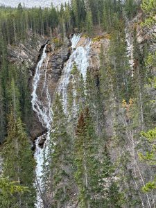 A tall waterfall cascades down a rocky mountainside, splitting into several white streams as it flows through dense evergreen forest. Dark green pine trees surround the cliff, partially framing the falls, while patches of rock and moss add texture to the steep, rugged natural mountain landscape.