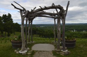 Rustic wooden arbor overlooking vineyards and rolling green countryside beneath a cloudy sky.