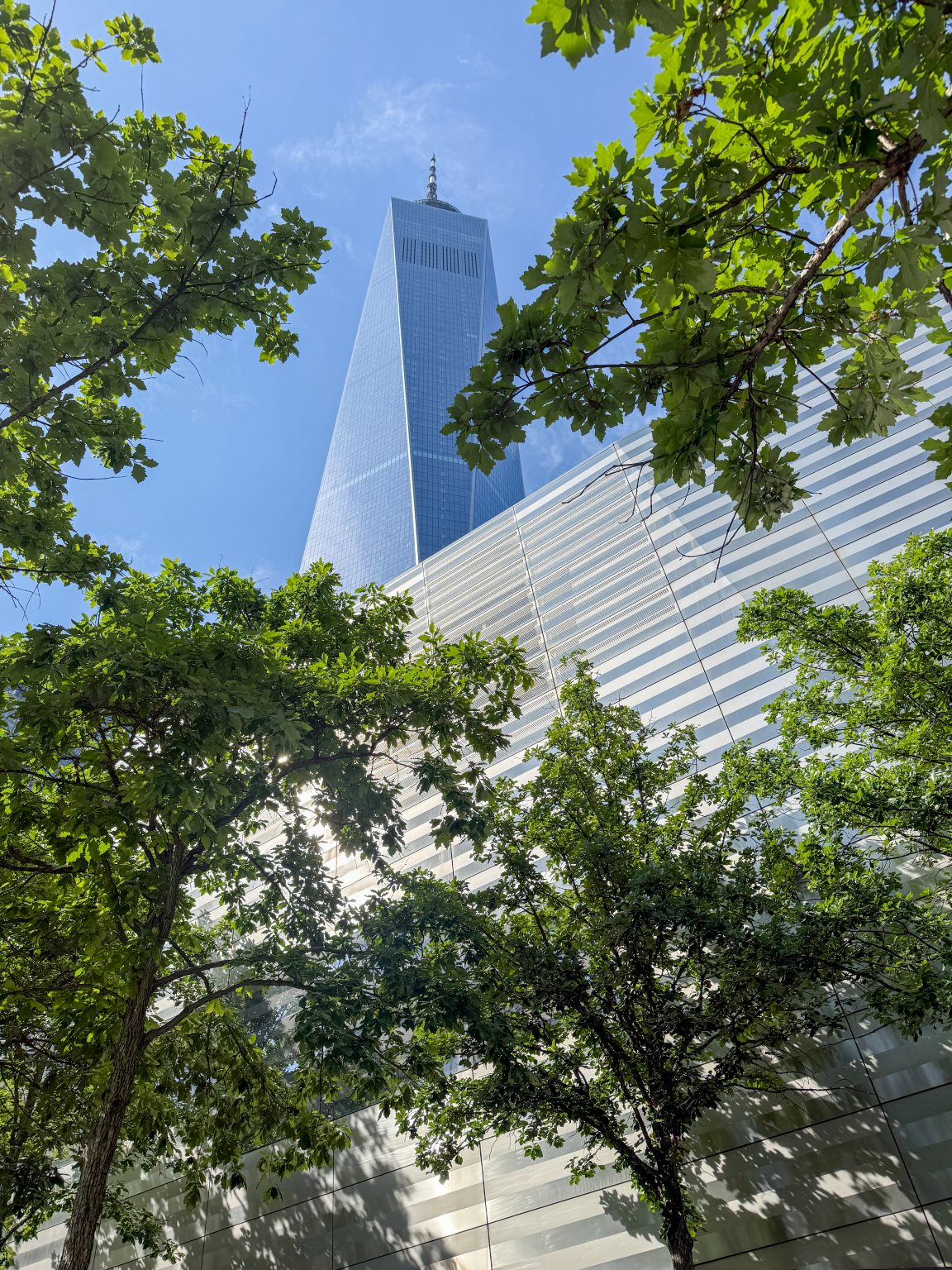 Freedom tower – on the site of the former twin towers in New York City, seen through an opening in the trees.