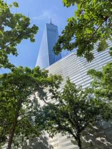 Freedom tower - on the site of the former twin towers in New York City, seen through an opening in the trees.