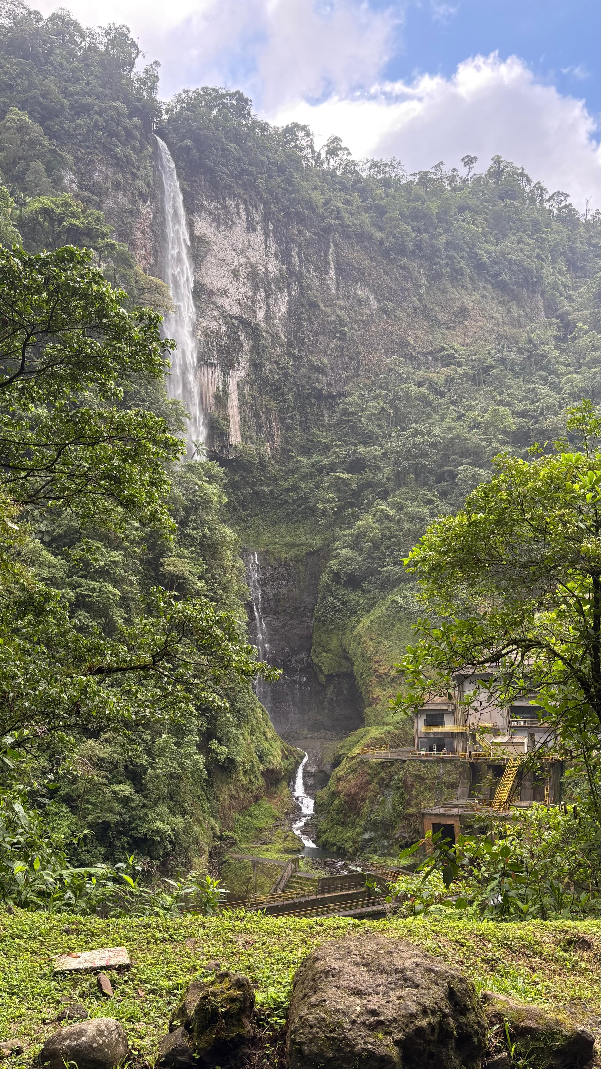 A stunning landscape featuring a tall waterfall cascading down a rocky cliff surrounded by lush green rainforest. The upper part of the waterfall is enveloped by dense foliage, while the lower section flows into a narrow stream. In the foreground, vibrant greenery covers the ground, dotted with stones, creating a serene atmosphere. To the right, a