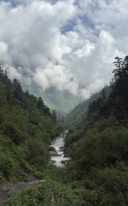 A lush, green valley with a rushing river flows between forested mountains under a dramatic, cloudy sky, conveying tranquility and grandeur.