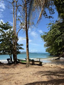 Sandy beach with a wooden boat, palm trees, calm blue ocean, and a clear sky.