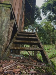 Weathered wooden staircase leading to a rustic cabin in a lush forest.