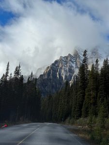 A quiet mountain road curves through dense evergreen forest toward a dramatic, snow-dusted peak. Low clouds wrap around the upper cliffs, partially hiding the summit, while sunlight highlights the layered rock formations. The empty road and towering trees create a striking sense of scale and wilderness.