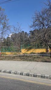 A road beside a vibrant yellow wall with green fencing, surrounded by bare trees against a clear blue sky