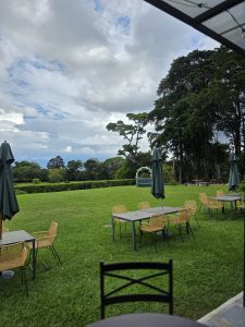 An outdoor patio area with multiple patio sets on a large, lush green lawn, featuring green umbrellas, wicker chairs, tables, and a distant decorative arch under a dramatic cloudy sky.