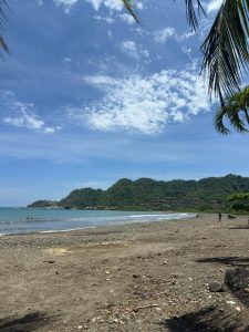 A tranquil beach scene with soft waves lapping at the shore. 