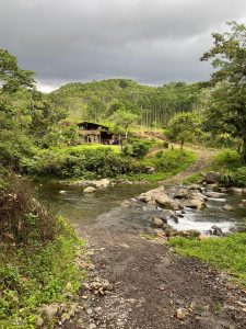A serene landscape with a small cabin surrounded by lush greenery. A rocky stream flows in the foreground under an overcast sky
