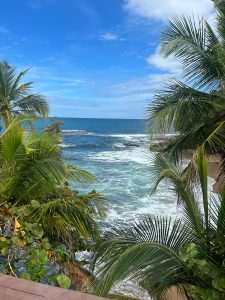 View of a serene tropical beach framed by lush palm trees. 