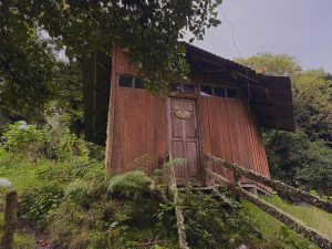 Rustic wooden cabin with a lichen-covered wooden railing in a lush forest.