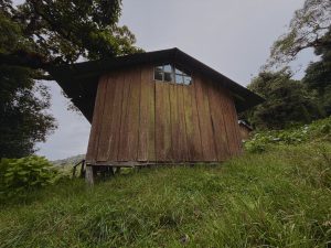 A rustic wooden cabin stands on a grassy hillside surrounded by lush cloud forest vegetation. Moss-covered walls, towering trees, and hydrangeas create a peaceful mountain setting, while the low-angle perspective highlights the cabin’s simple architecture and the natural beauty of its surroundings.
