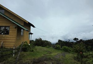 A wooden countryside house surrounded by green vegetation beneath an overcast sky.